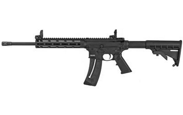 Picture of SMITH & WESSON M&P15-22