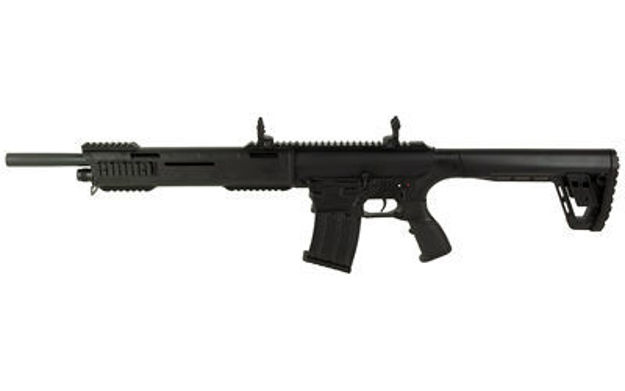 Picture of TOKAREV TAR12P