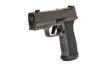 Picture of SIG SAUER P365 AXG LEGION