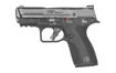 Picture of SMITH & WESSON M&P SHIELD X