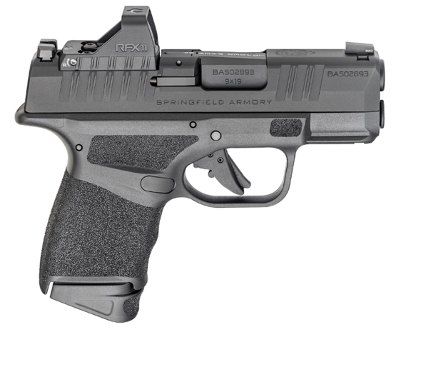 Picture of SPRINGFIELD HELLCAT