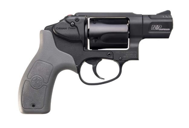 Picture of SMITH & WESSON BODYGAURD